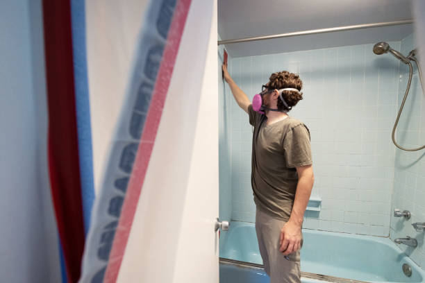  Heeia, HI Mold Removal Pros