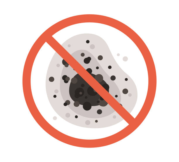 Best Black Mold Removal  in Heeia, HI