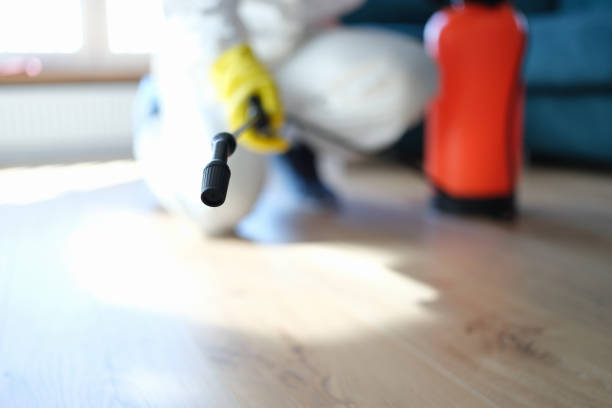 Dehumidification Services in Heeia, HI