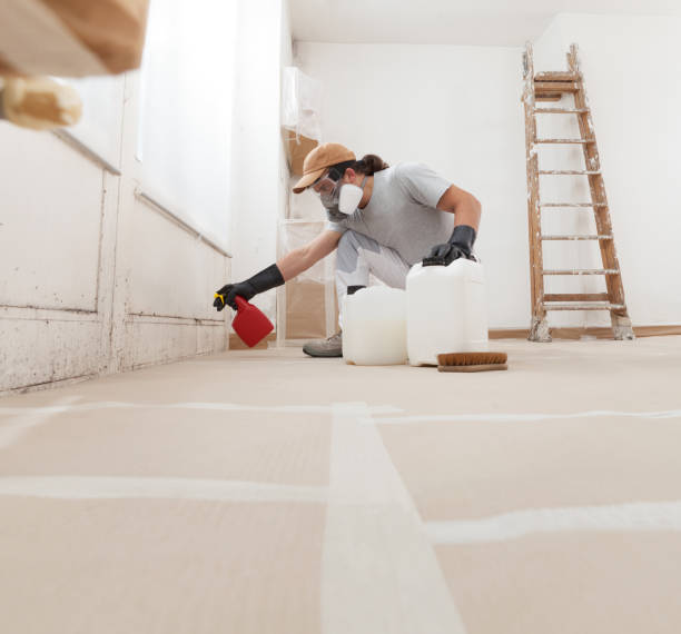Mold Documentation for Insurance Claims in Heeia, HI